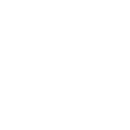Bonus Icon